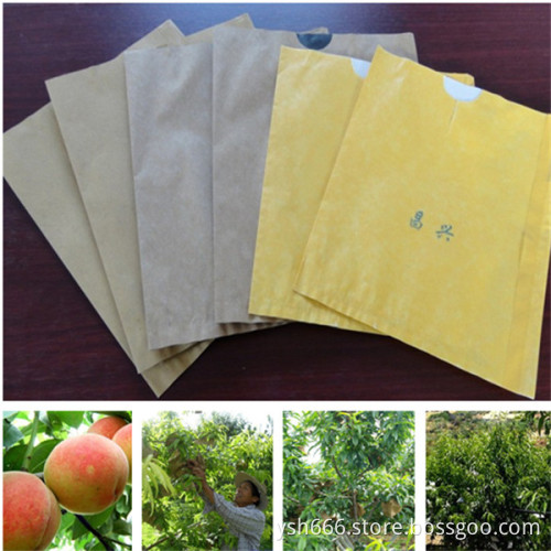 Peach protection paper bag with different size cheap price